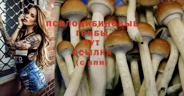 скорость Пересвет
